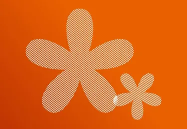 Top 50 Doanh nghiệp FDI tiêu biểu năm 2022-2023